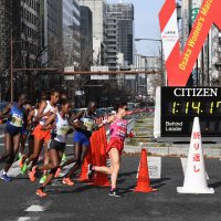 第39回大会 フォトギャラリー / 2020 Photo Gallery