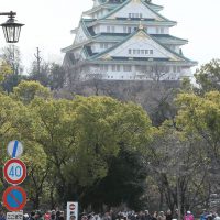 第39回大会 フォトギャラリー / 2020 Photo Gallery